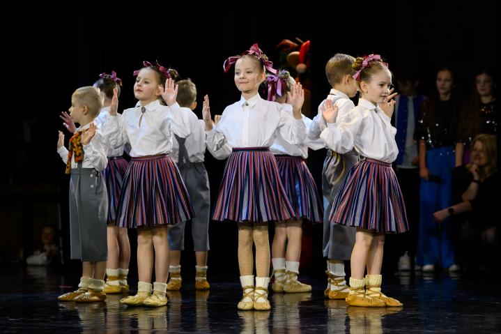 BDK Sienāzītis